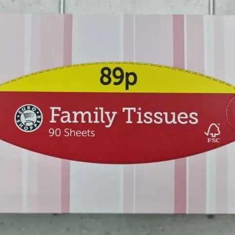 Euro Shopper Family Tissues White 90 Tissues