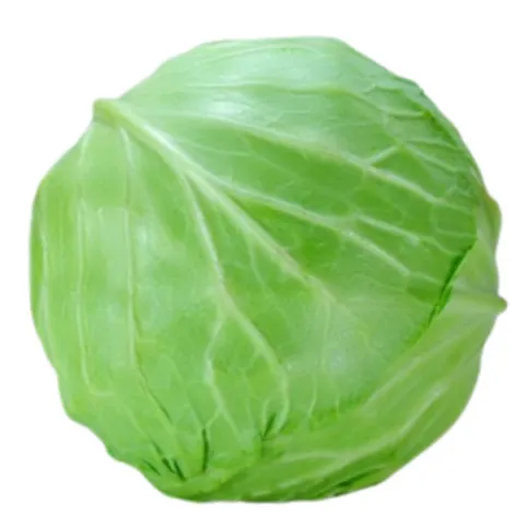 Jack's Large White Cabbage