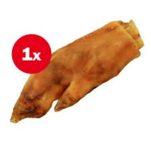 Pigs Trotter X1